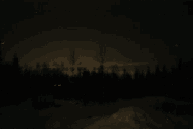 a dark night sky with trees in the foreground and the moon in the background