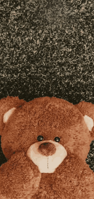 a brown teddy bear is laying down on a carpet