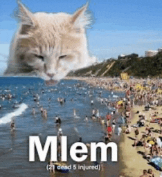 a picture of a cat on a beach with the words " mlem " on it