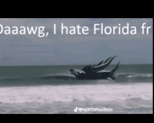 a picture of a dragon in the ocean with the caption " daaawg i hate florida "