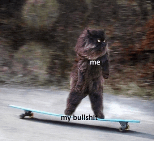 a black cat is riding a blue skateboard with the words " me my bullshit " written on it