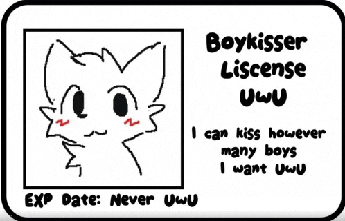 a drawing of a cat with a license that says boykisser license uwu .