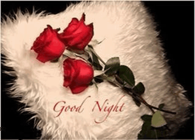 three red roses are sitting on a white pillow with the words `` good night '' .