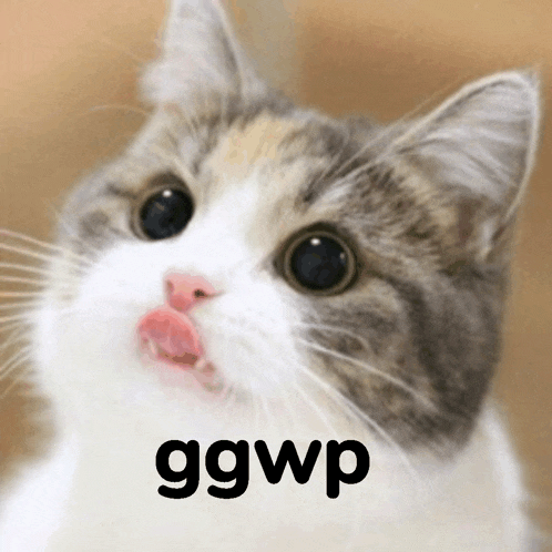 a close up of a cat with the word ggwp written on the bottom