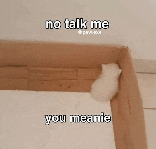 a white kitten is sitting in a cardboard box with the words `` no talk me you meanie '' written on it .