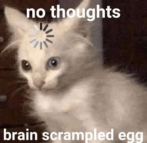 a white cat with a loading screen on its head and the words `` no thoughts brain scrambled egg '' written on it .