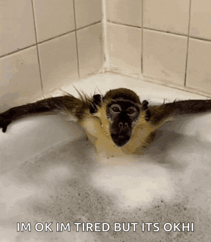 a picture of a monkey in a bathtub with the caption im ok im tired but its okh