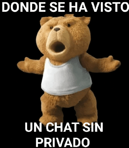 a teddy bear wearing a white tank top with the words donde se ha visto un chat sin privado on the bottom