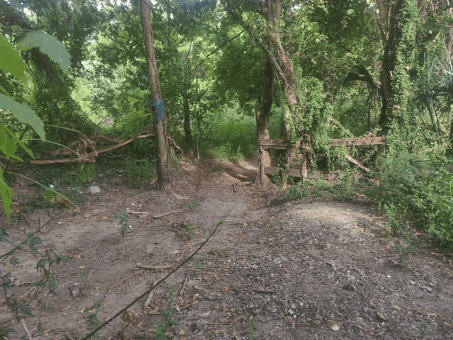 a wooden fence in the middle of a forest with a blue sticker on it