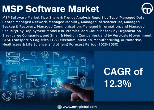 msp software market size share & trends analysis report by type