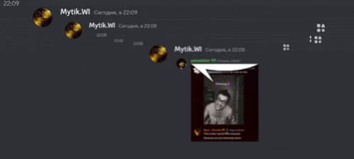 a screenshot of a discord conversation between mytik.wil and mytik.wi