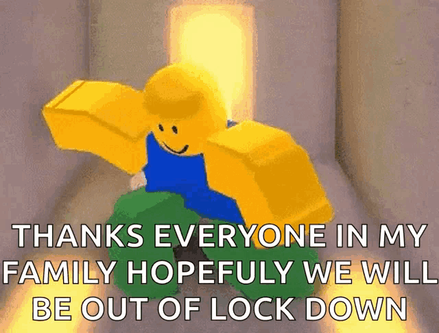 a picture of a roblox character with the words thanks everyone in my family hopefully we will be out of lock down