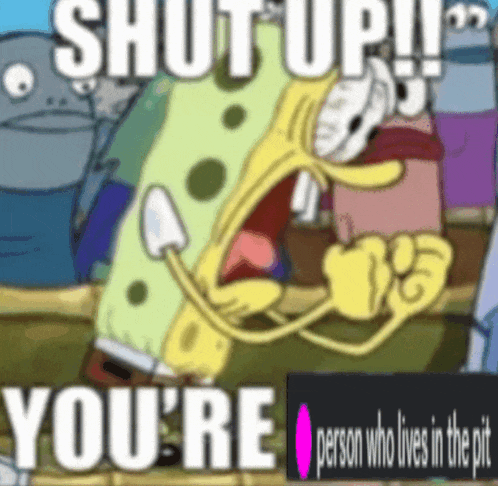 a cartoon of spongebob saying " shut up you 're "