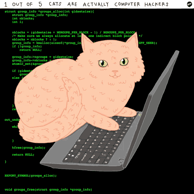 a cat laying on top of a laptop with the words " out of 5 cats are actually computer hackers " at the top