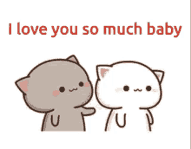 a couple of cats standing next to each other with the words `` i love you so much baby '' written on the bottom .