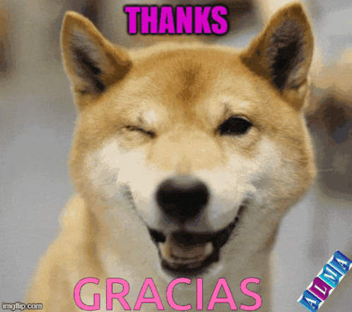 a picture of a dog with the words " thanks gracias " on the bottom