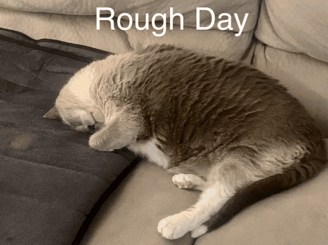 a cat laying on a couch with the words rough day written above it