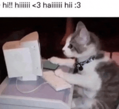 a cat is sitting in front of a computer and typing on a keyboard .