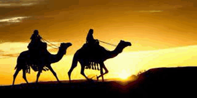 two people are riding on the backs of two camels in the desert at sunset .