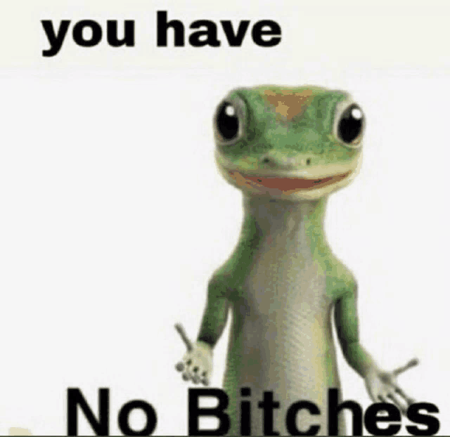 a lizard with the words `` you have no bitches '' on it .