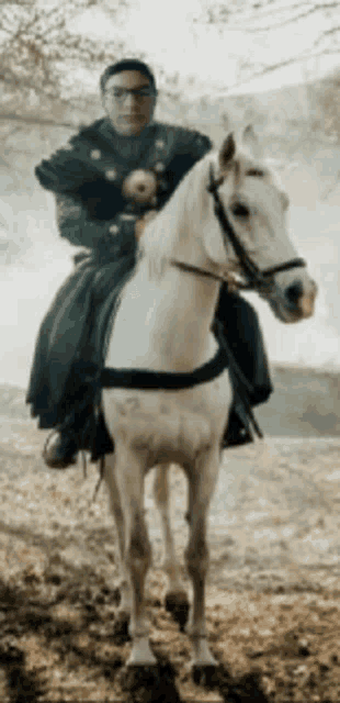 a man is riding a white horse in a field .