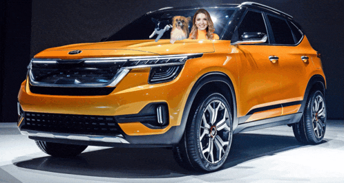 a woman sitting in a car with a dog on the hood