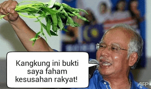 a man is holding a bunch of green leaves in his hand while talking into a microphone .