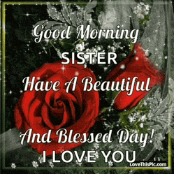 good morning sister have a beautiful and blessed day ! i love you