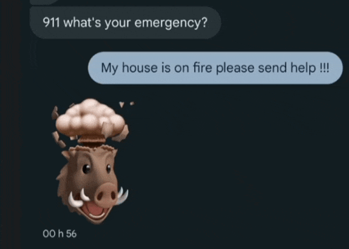 a cartoon of a boar with an explosion on its head says 911 what 's your emergency