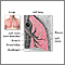 Lung anatomy