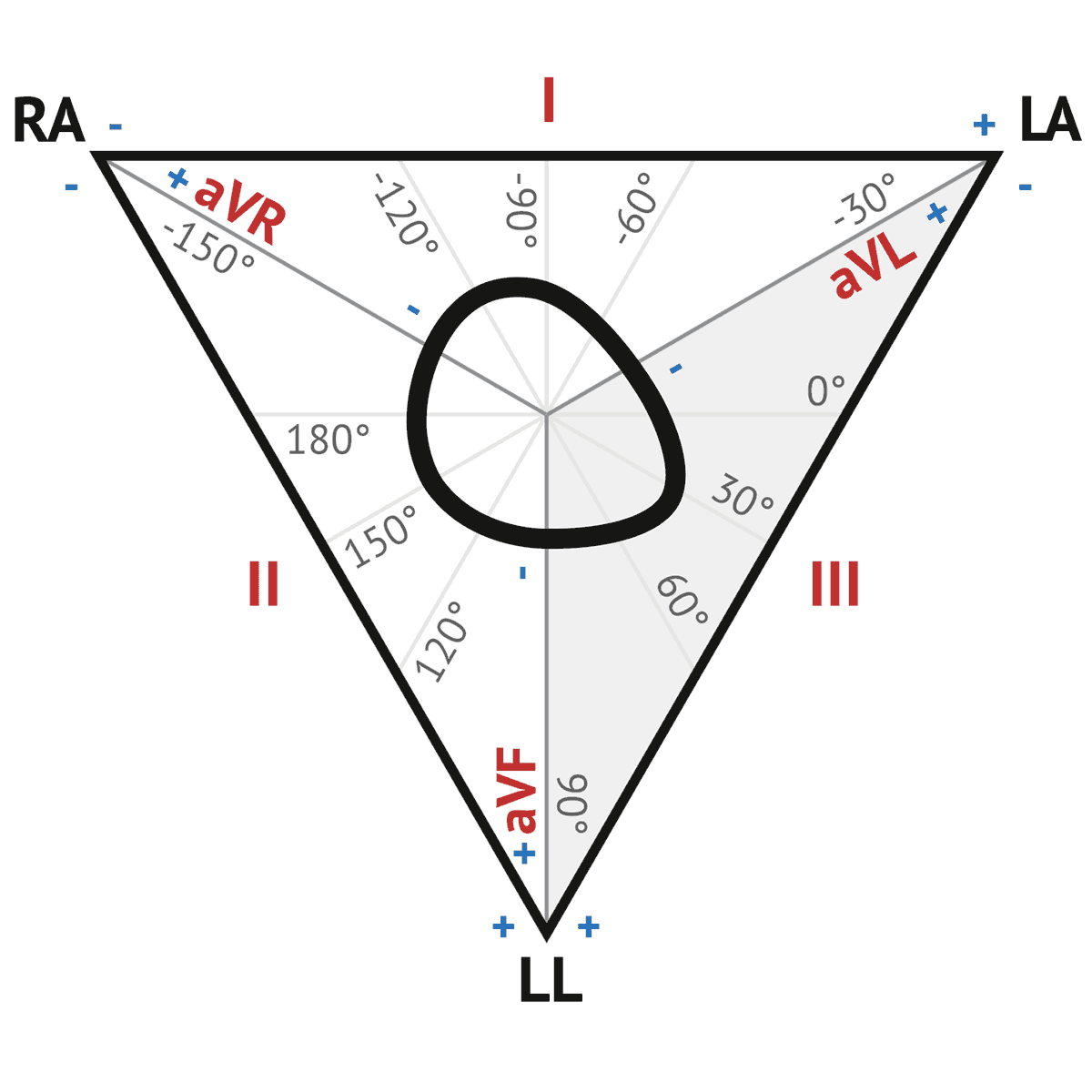 ECG Axis Diagram