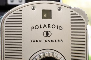 polaroid8