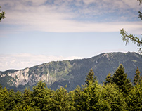 View to the Mountains