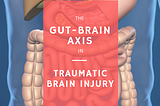 The Gut-Brain Axis in Traumatic Brain Injury