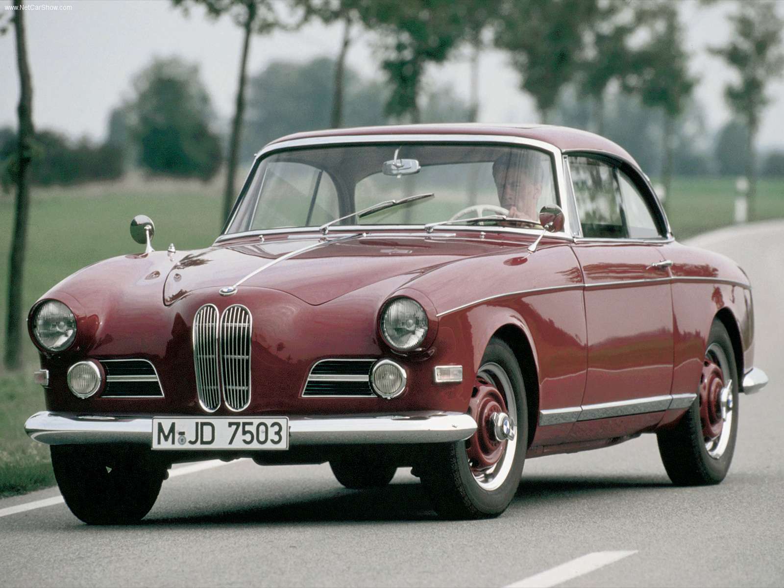 BMW 503 #3