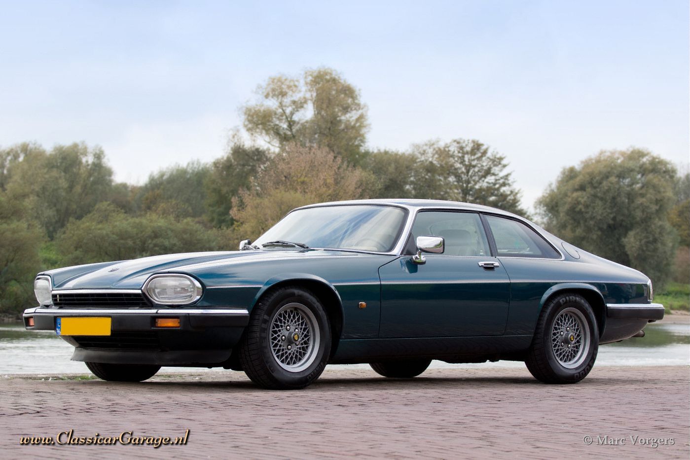 Jaguar XJS #14