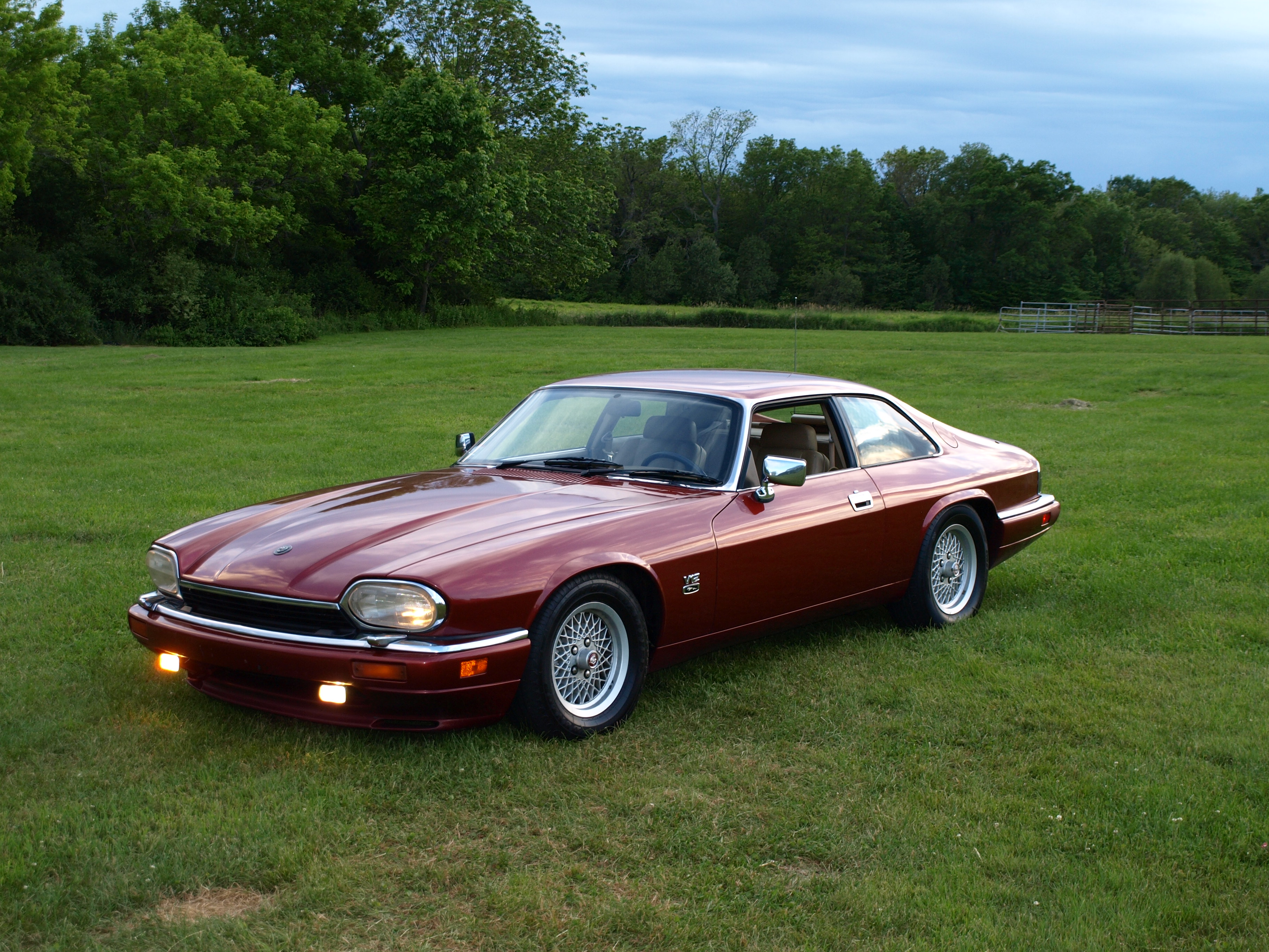 Jaguar XJS #13