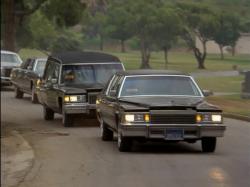 1979 Cadillac Fleetwood Limo