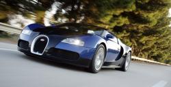 Bugatti Veyron 16.4 #8