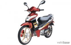 Qingqi Variant QM125T-10R #10