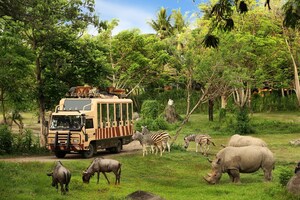استكشف رحلات السفاري المليئة بالعجائب، حيث تُقدم Taman Safari Indonesia تجارب لا تنسى للسياح السعوديين