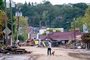 Free and Fast Photo-Matching AI Technology Can Help Reunite Pets with Their Families During and After Natural Disasters