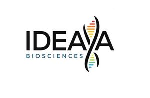 IDEAYA Biosciences Announces Option and License Agreement for Potential First-in-Class B7H3/PTK7 Topo-I-Payload Bispecific ADC Program with Biocytogen