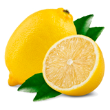 Lemon coloring pages