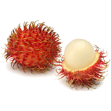 Rambutan coloring pages