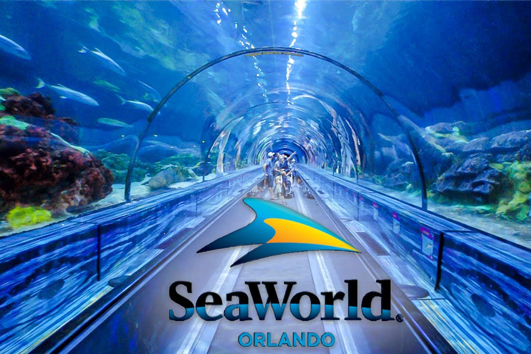 SeaWorld Orlando Florida | The Complete Visitor Guide