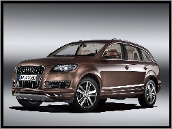 Grill, Audi Q7, Wielki