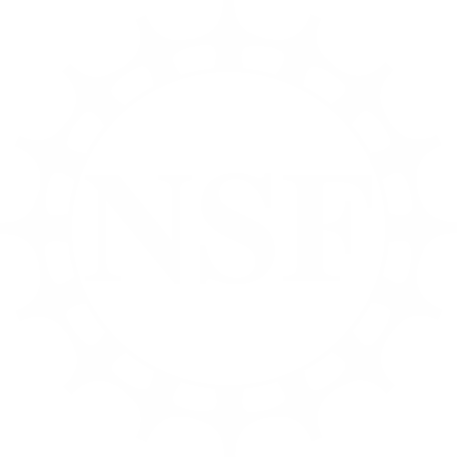 NSF logo