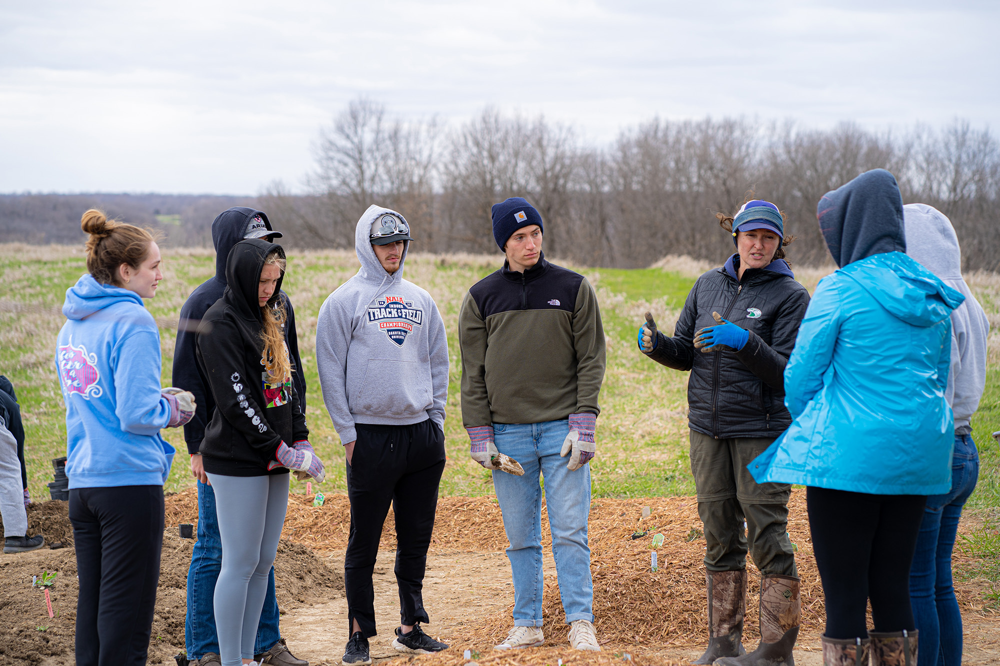 Planting the pollinator garden