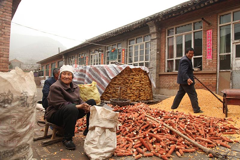 Corn Cob Used for Cooking Fuel